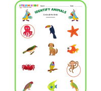 Free Science Worksheets For Kids