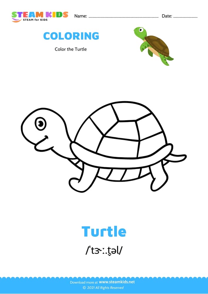 Free Coloring Worksheet - Color the Turtle