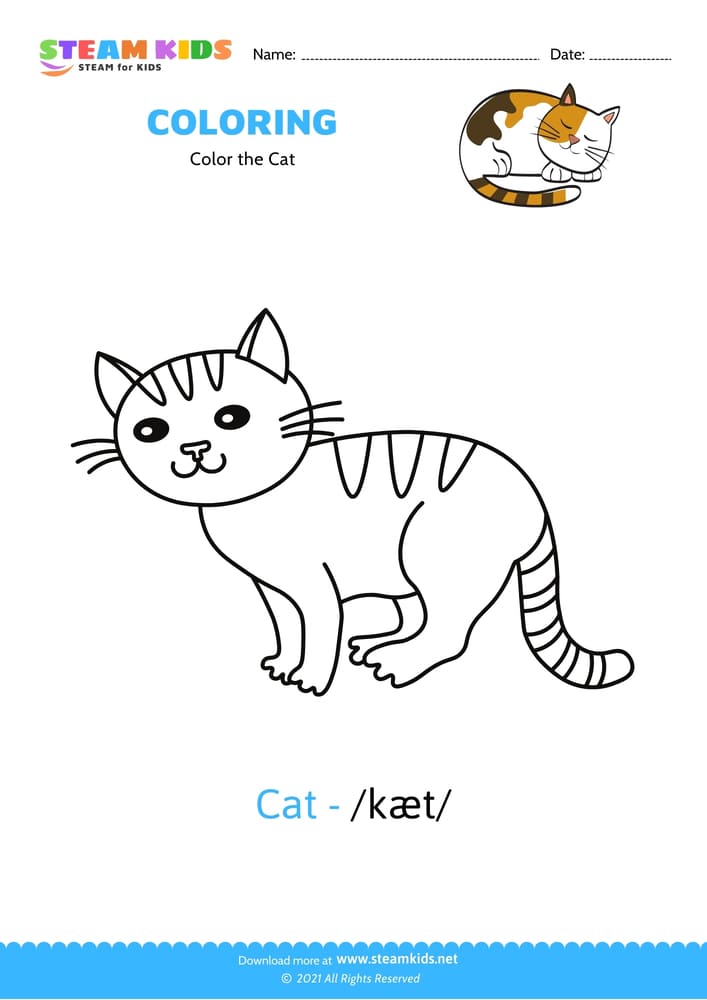 Free Coloring Worksheet - Color the Cat