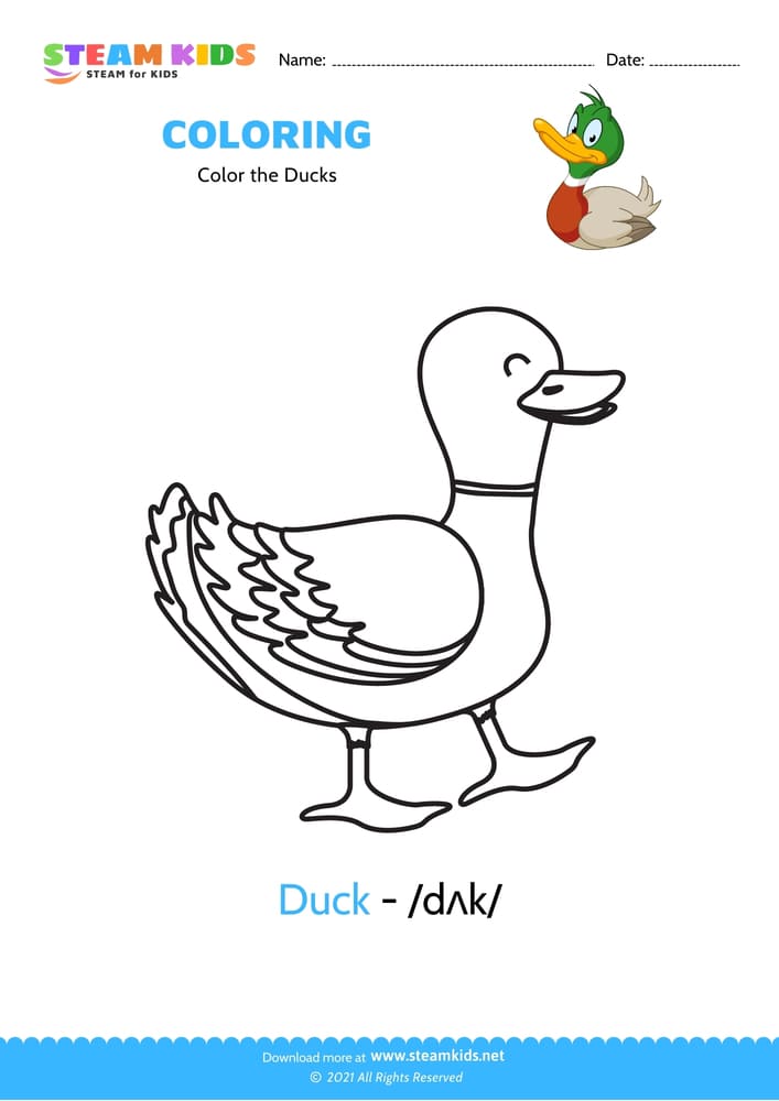 Free Coloring Worksheet - Color the Ducks