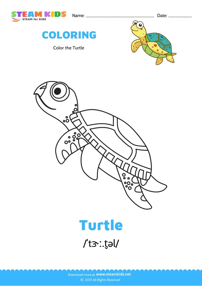 Free Coloring Worksheet - Color the Turtle