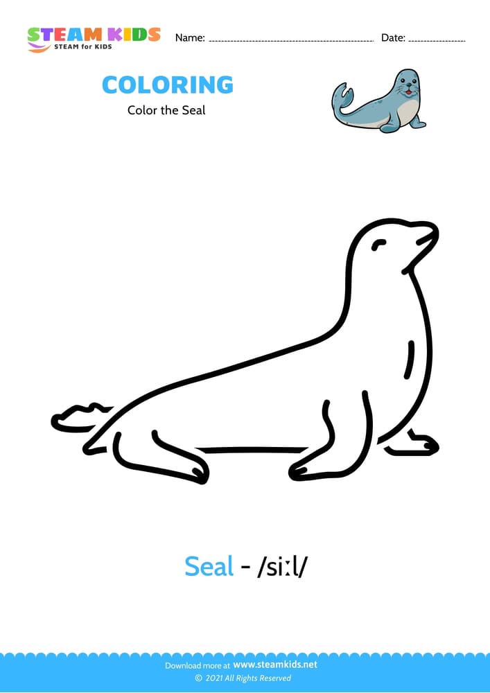 Free Coloring Worksheet - Color the Seal