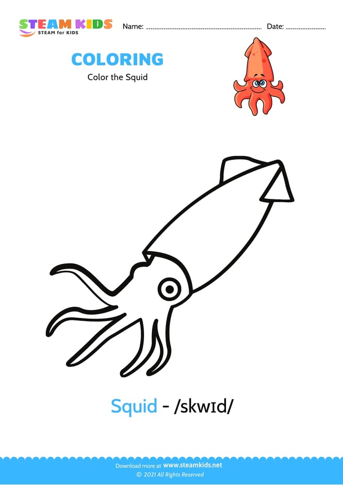 Free Coloring Worksheet - Color the Squid