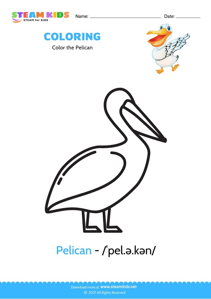 Free Coloring Worksheet - Color the Pelican