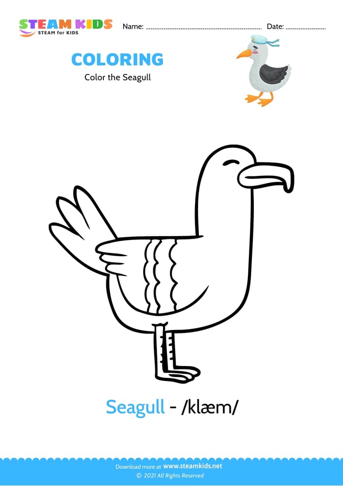 Free Coloring Worksheet - Color the Seagull