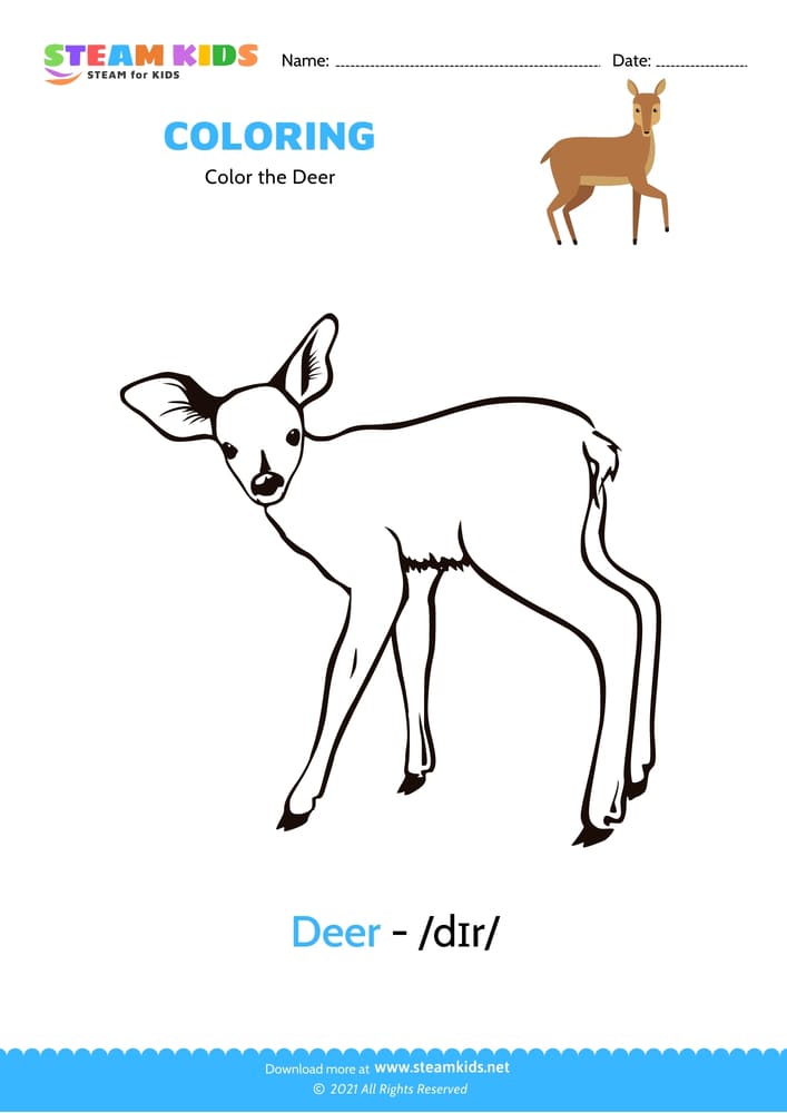 Free Coloring Worksheet - Color the Deer