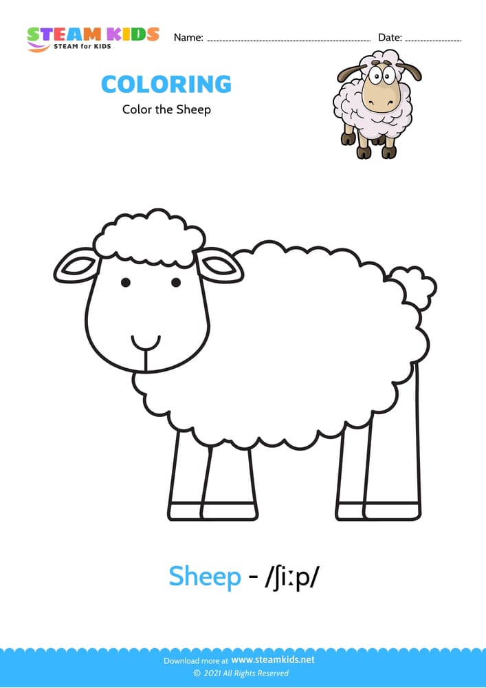 Free Coloring Worksheet - Color the Sheep