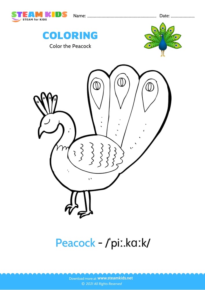 Free Coloring Worksheet - Color the Peacock