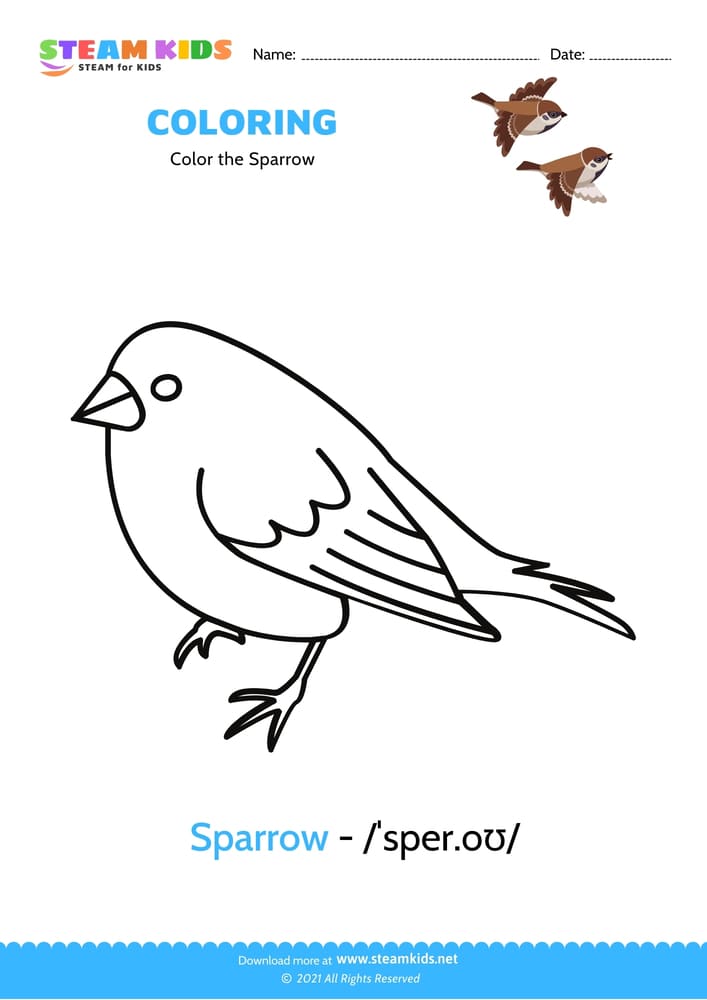 Free Coloring Worksheet - Color the Sparrow