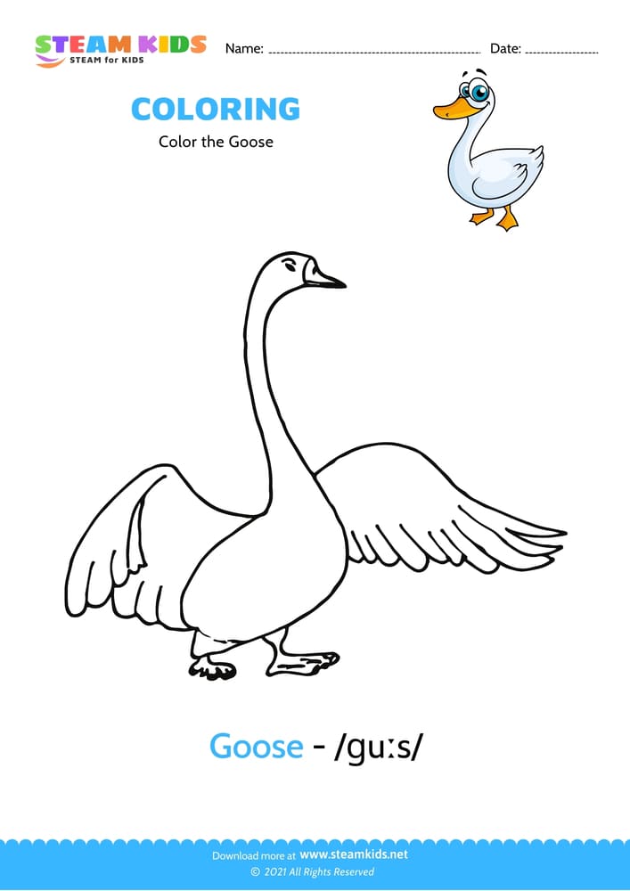 Free Coloring Worksheet - Color the Goose