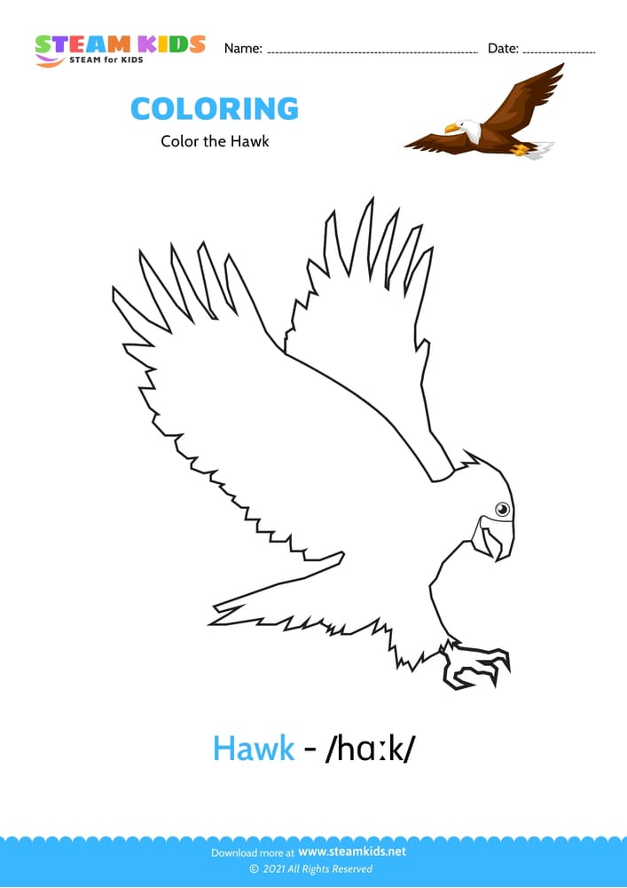 Free Coloring Worksheet - Color the Hawk