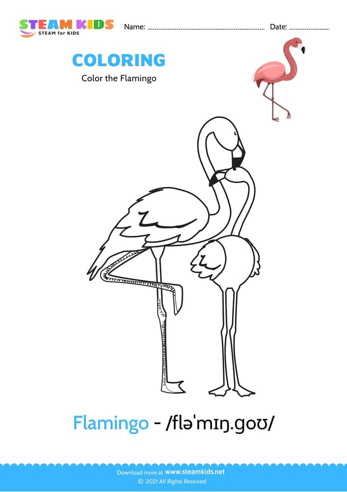 Free Coloring Worksheet - Color the Flamingo