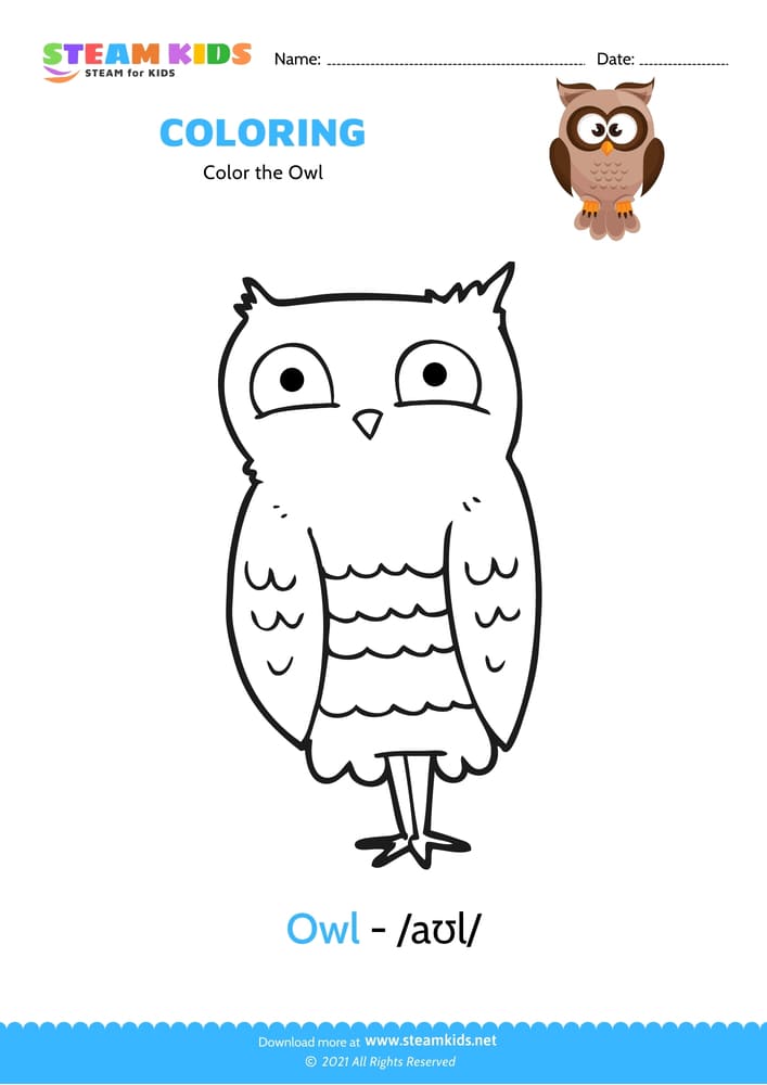 Free Coloring Worksheet - Color the Owl