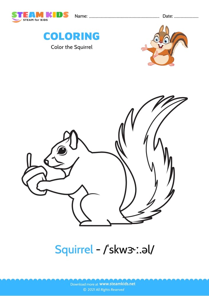 Free Coloring Worksheet - Color the Squirrel