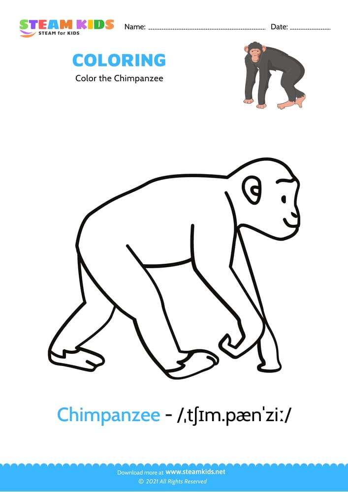 Free Coloring Worksheet - Color the Chimpanzee