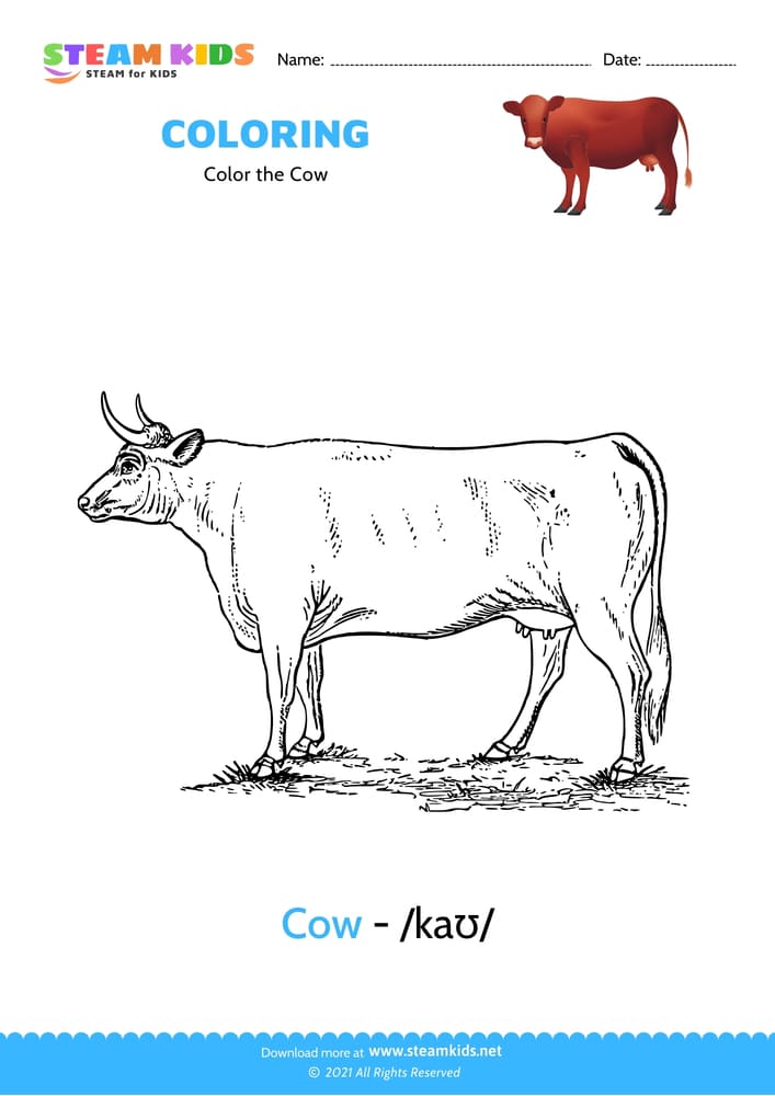 Free Coloring Worksheet - Color the Cow 2