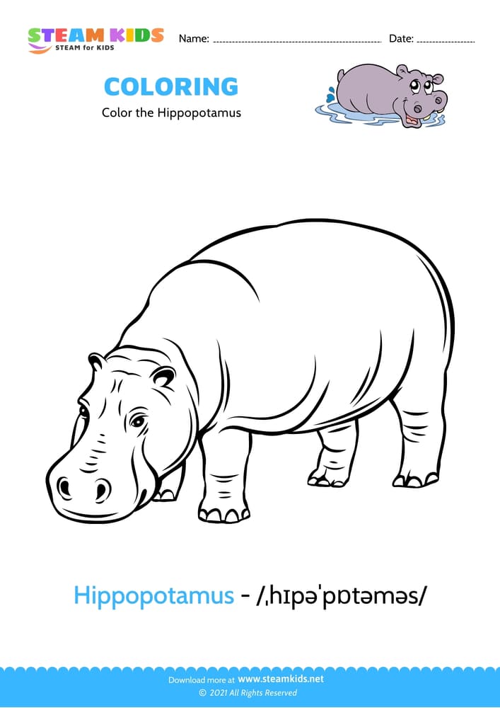 Free Coloring Worksheet - Color the Hippopotamus