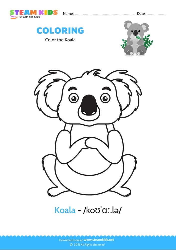 Free Coloring Worksheet - Color the Koala