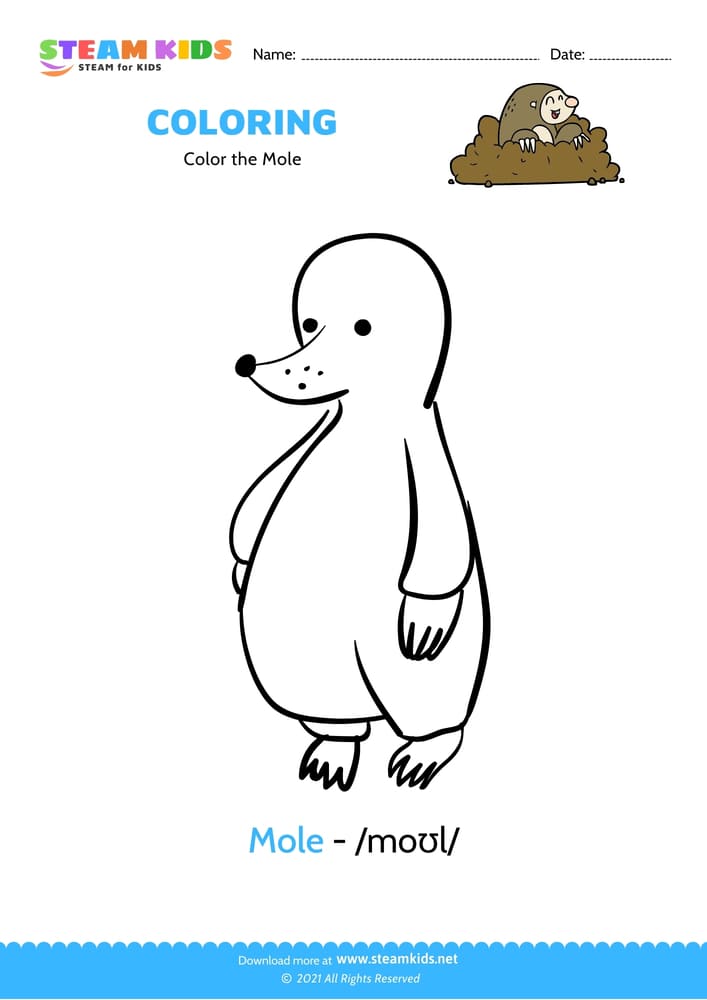Free Coloring Worksheet - Color the Mole