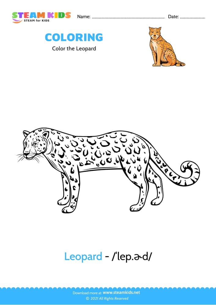 Free Coloring Worksheet - Color the Leopard