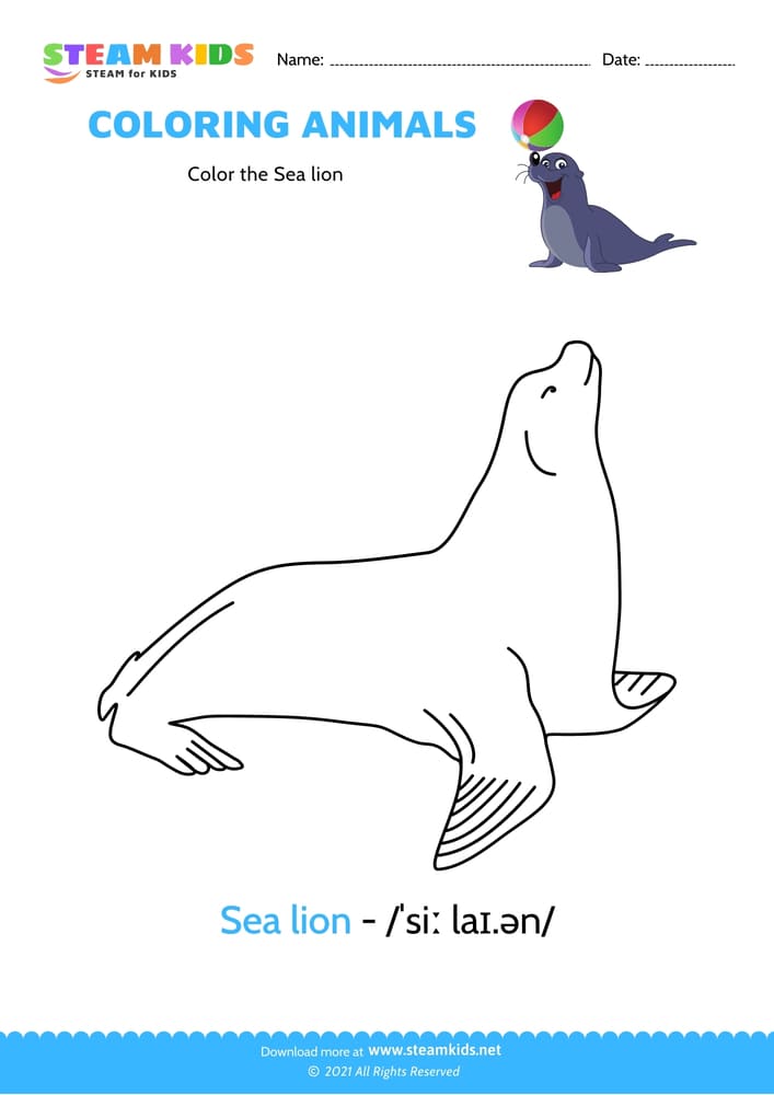 Free Coloring Worksheet - Color the Sea lion