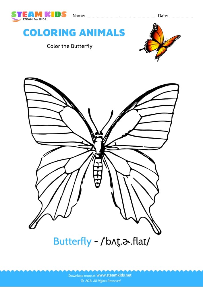 Free Coloring Worksheet - Color the Butterfly