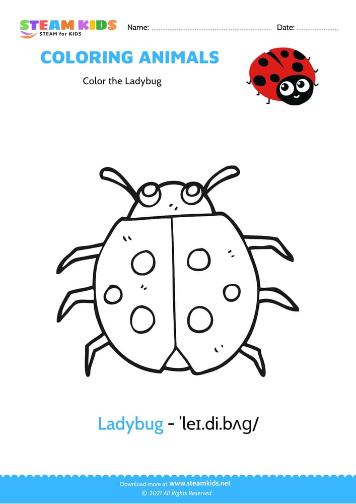 Free Coloring Worksheet - Color the Ladybug