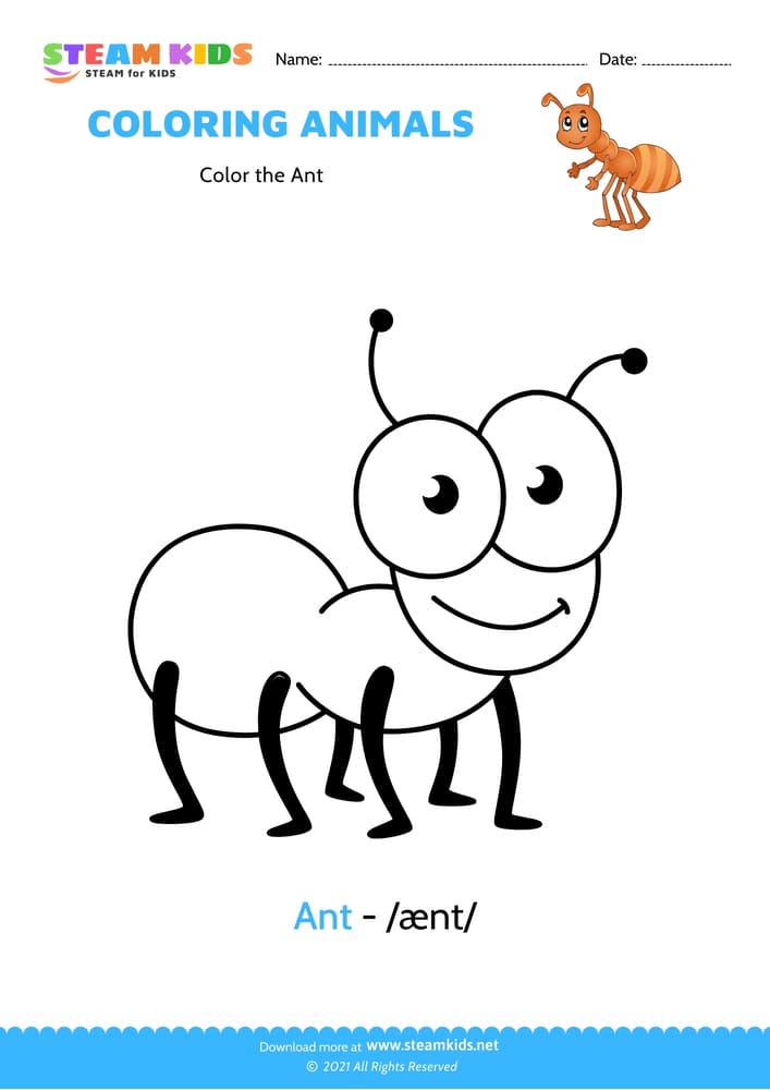 Free Coloring Worksheet - Color the Ant