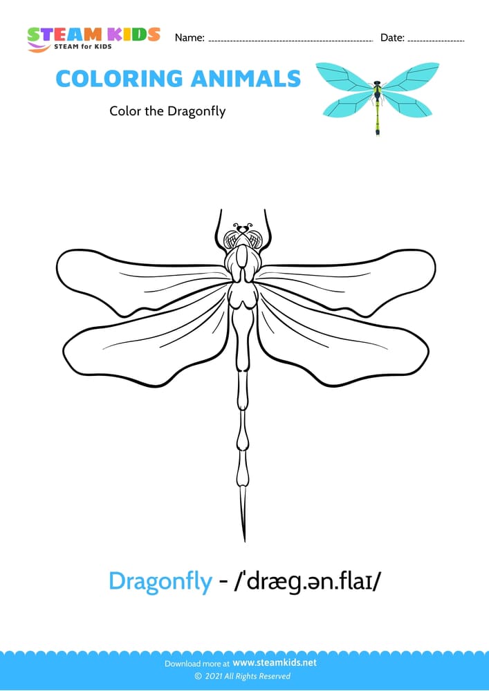 Free Coloring Worksheet - Color the Dragonfly