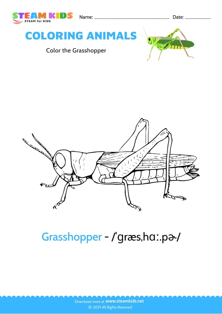 Free Coloring Worksheet - Color the Grasshopper