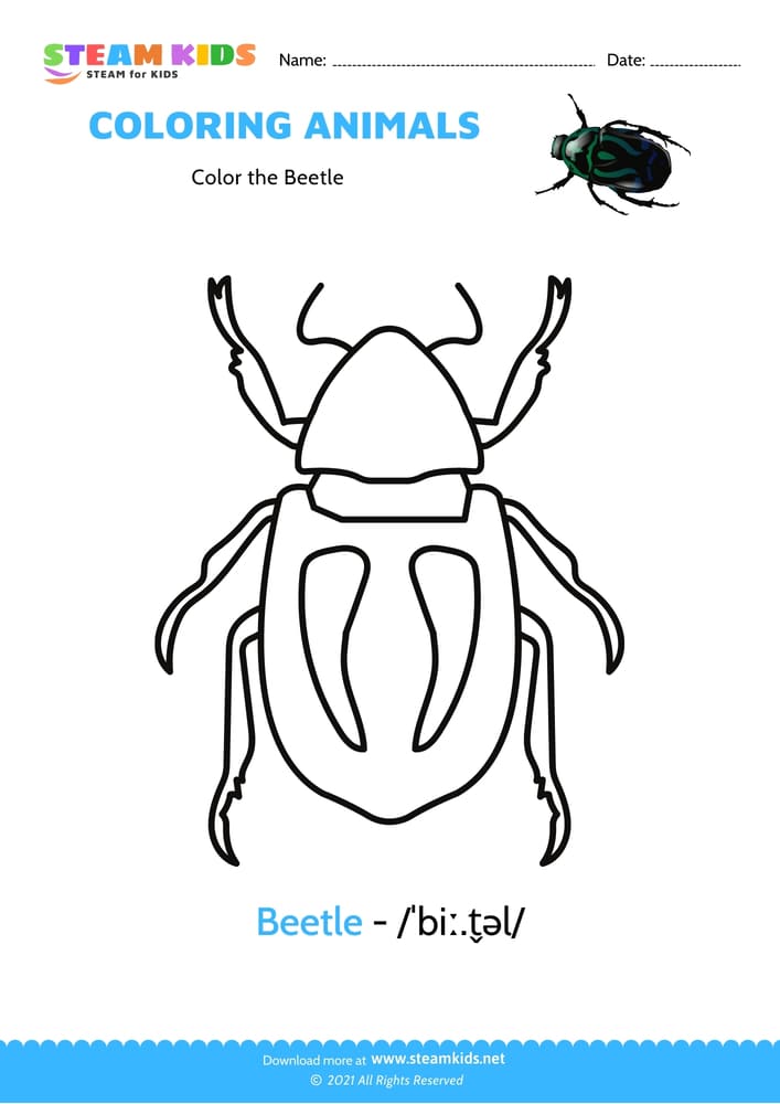 Free Coloring Worksheet - Color the Beetle