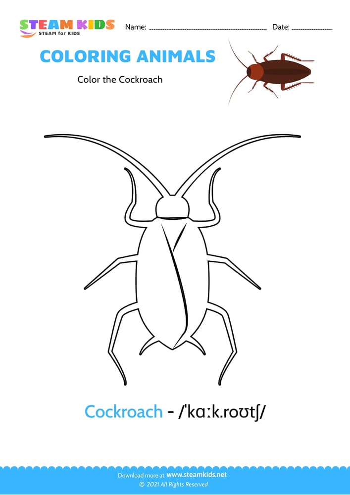 Free Coloring Worksheet - Color the Cockroach