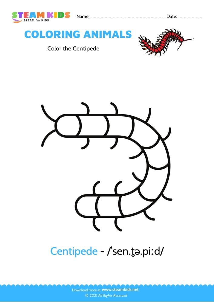 Free Coloring Worksheet - Color the Centipede