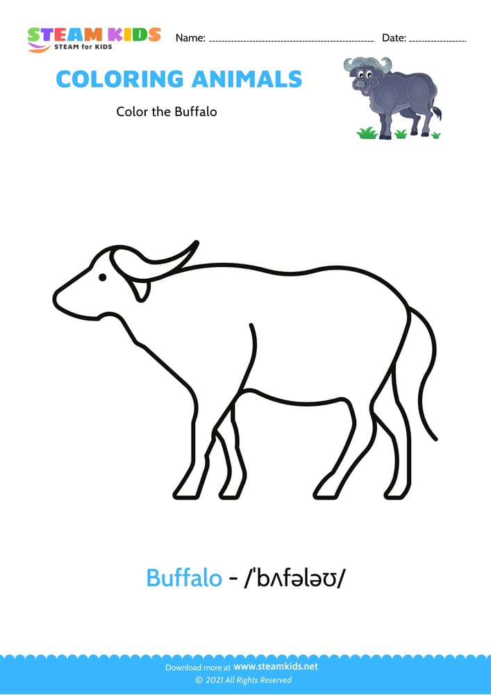 Free Coloring Worksheet - Color the Buffalo
