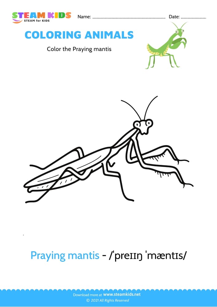 Free Coloring Worksheet - Color the Praying mantis
