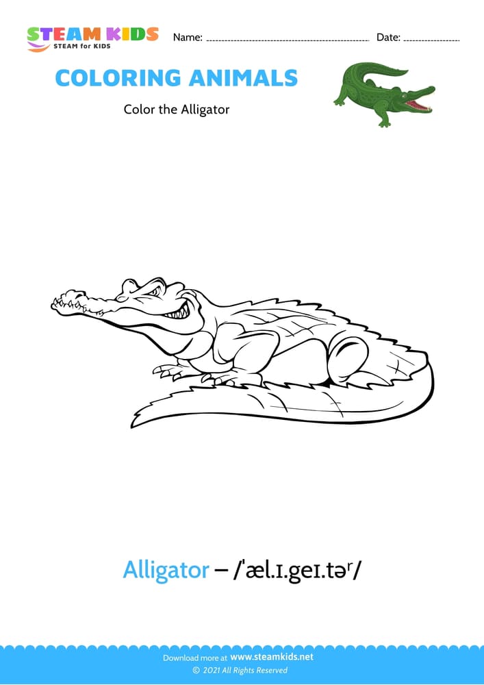 Free Coloring Worksheet - Color the Alligator