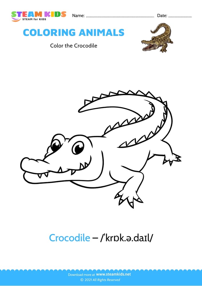 Free Coloring Worksheet - Color the Crocodile 