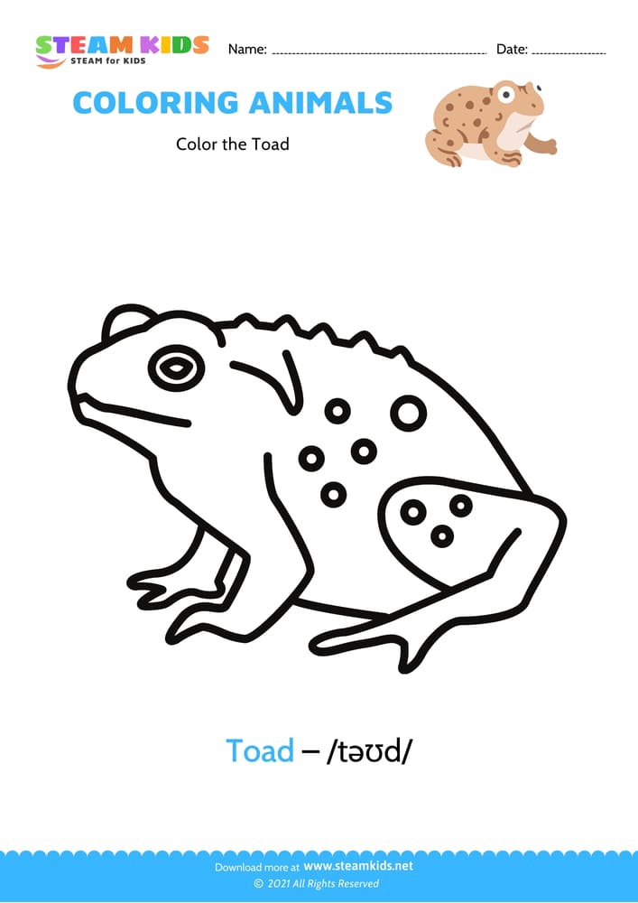 Free Coloring Worksheet - Color the Toad