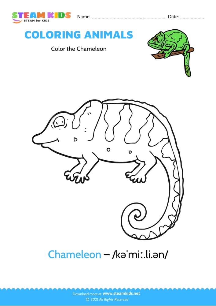 Free Coloring Worksheet - Color the Chameleon