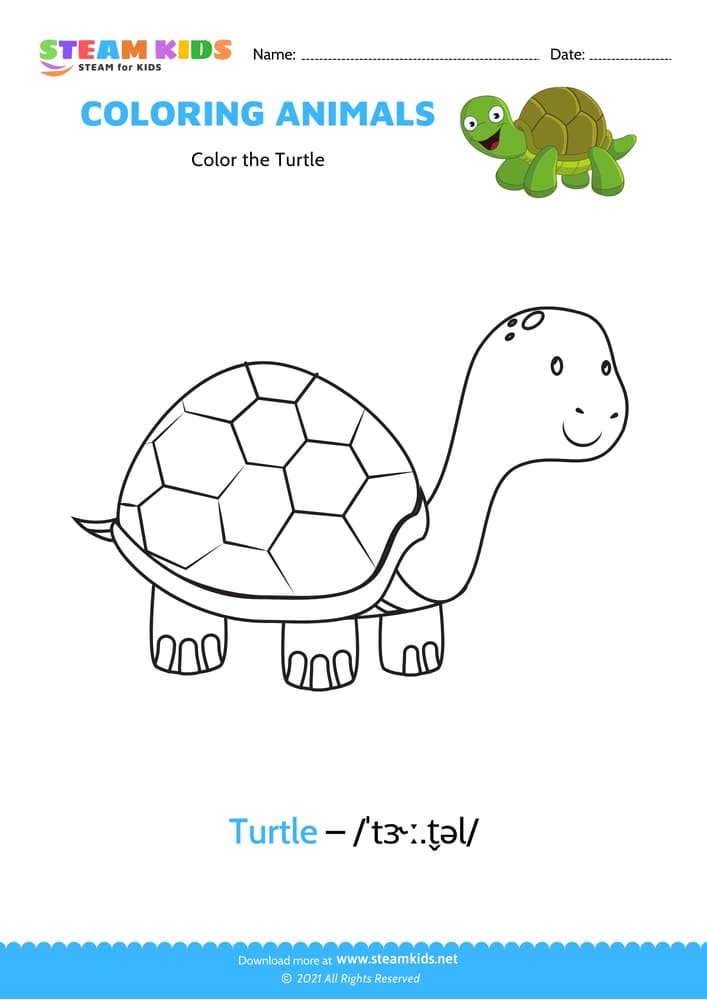 Free Coloring Worksheet - Color the Turtle