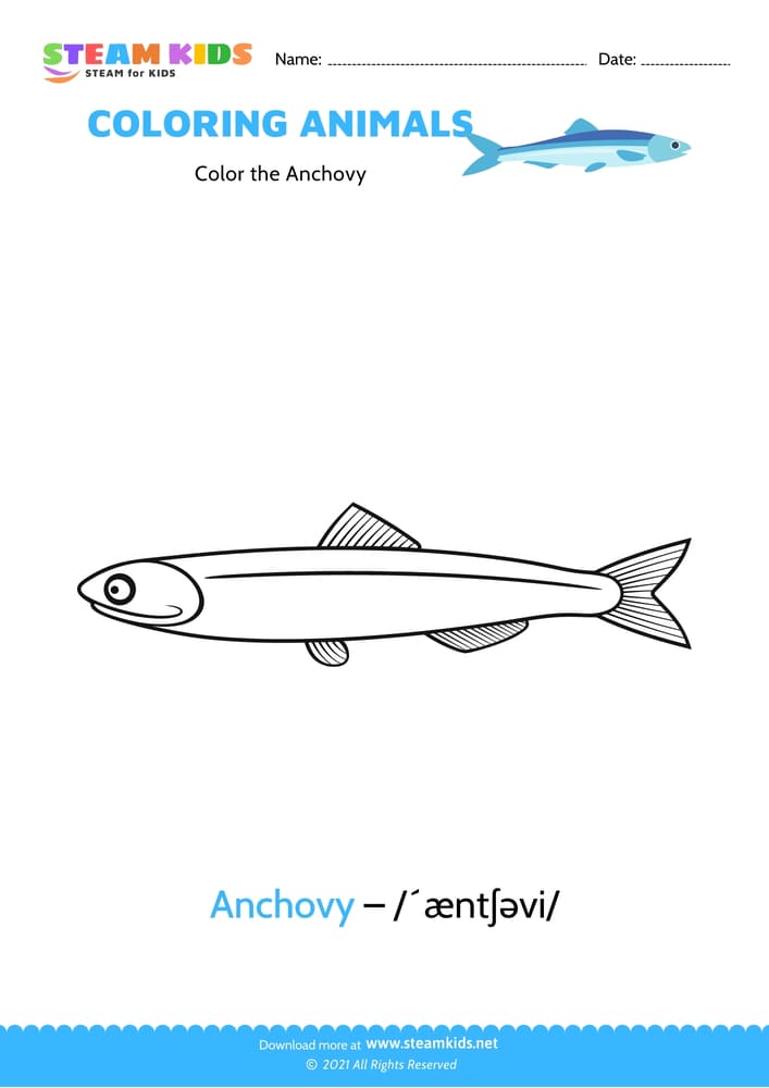 Free Coloring Worksheet - Color the Anchovy