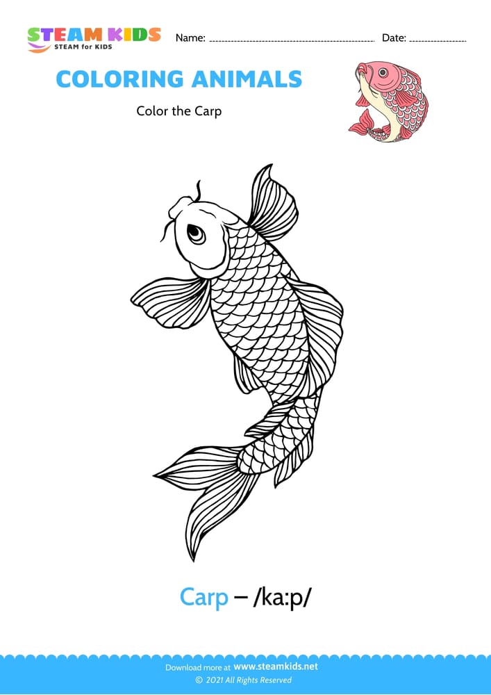 Free Coloring Worksheet - Color the Carp