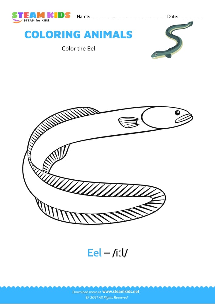 Free Coloring Worksheet - Color the Eel
