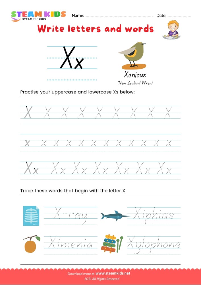 Free English Worksheet - Write letters and words -  X/x