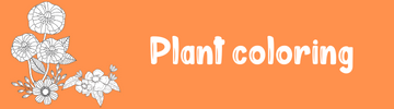 Plant Coloring