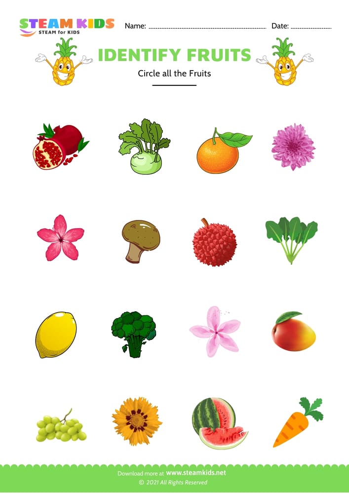 Free Science Worksheet - Identify fruit - Worksheet 4