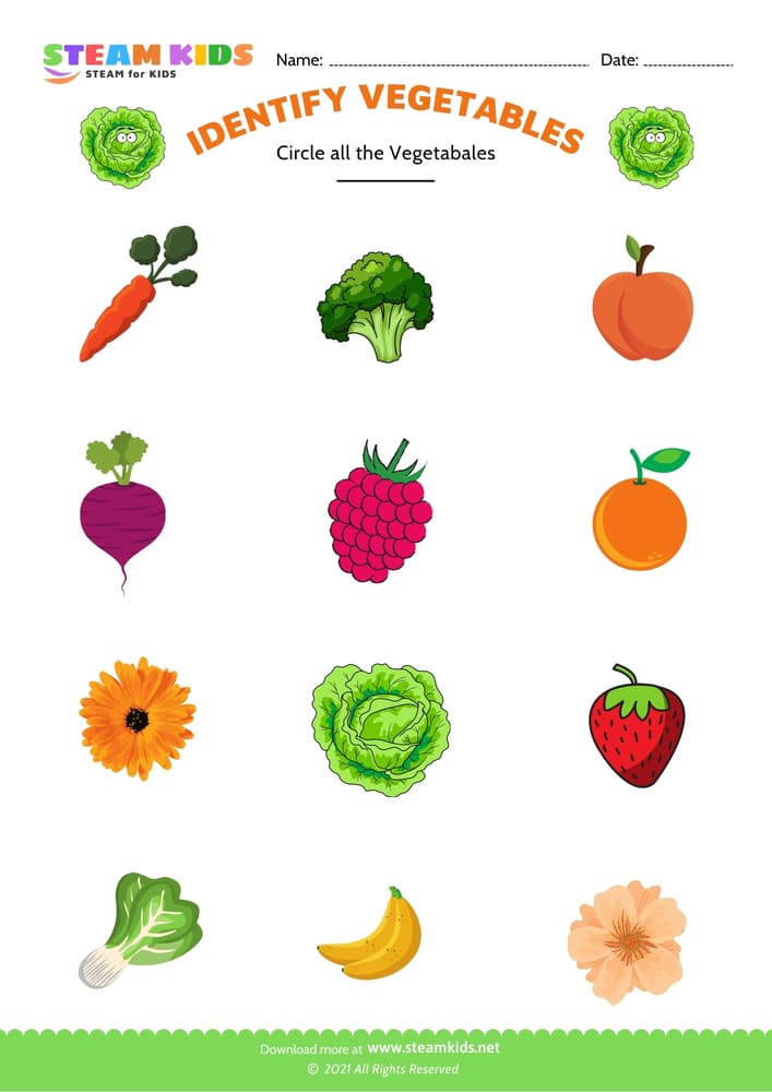 Free Science Worksheet - Identify vegetable - Worksheet 1