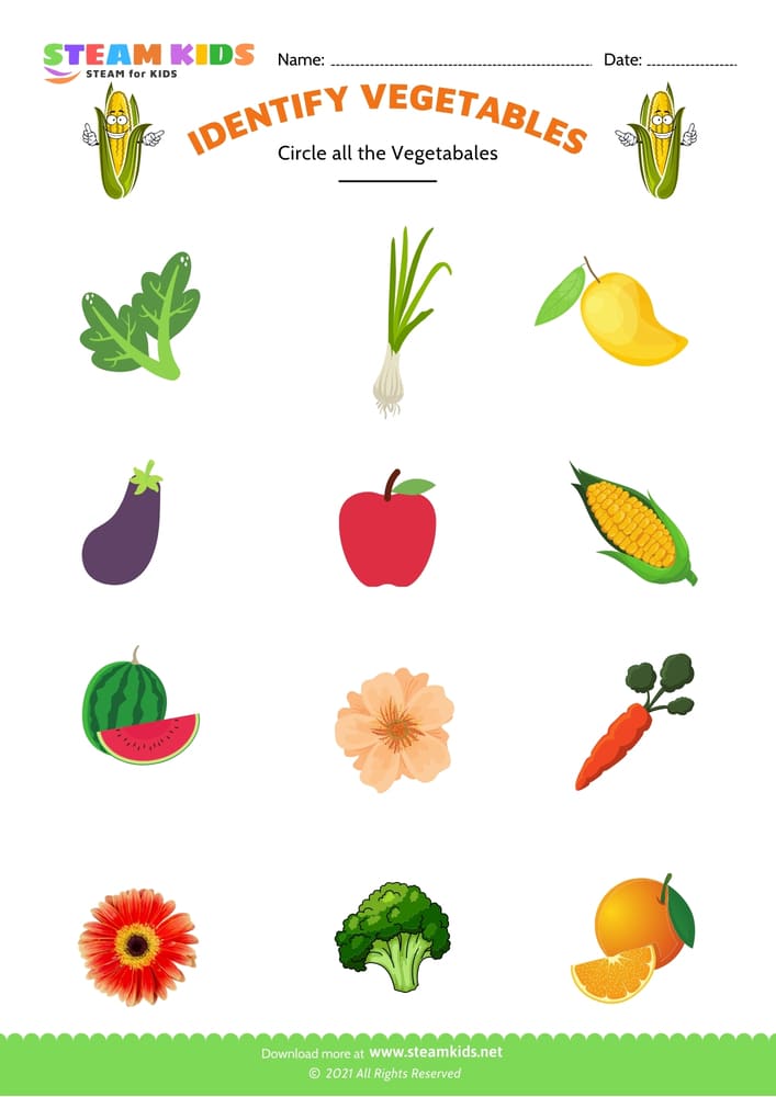 Free Science Worksheet - Identify vegetable - Worksheet 1