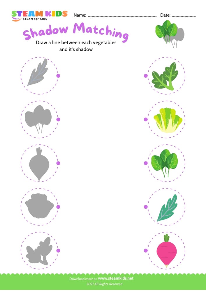 Free Science Worksheet - Identify vegetable - Worksheet 8