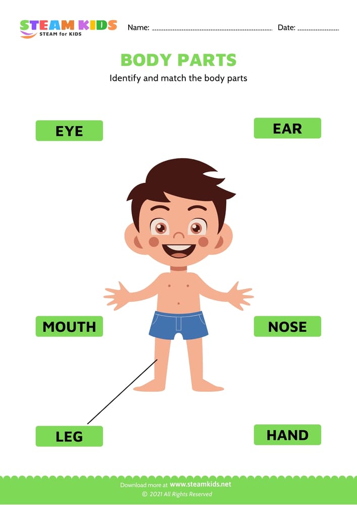 Free Science Worksheet - Body Parts - Worksheet 5